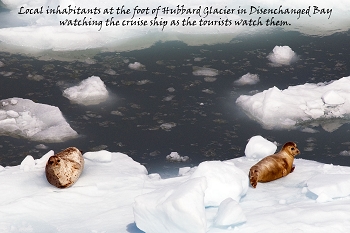 20100607-hubbard-glacier-015