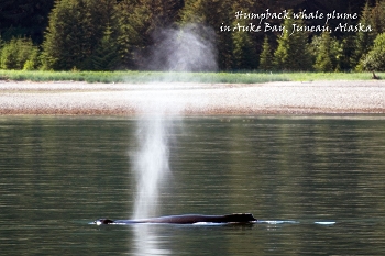 20100606-juneau-073