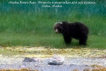 20100608-sitka-017
