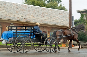 20110926-amish-001