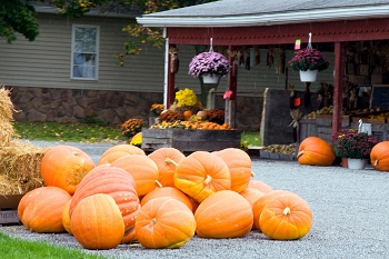 20110926-amish-003