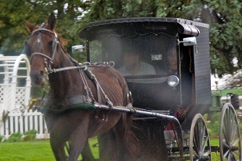 20110926-amish-006