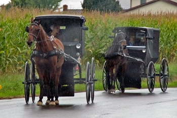 20110926-amish-007