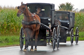 20110926-amish-008