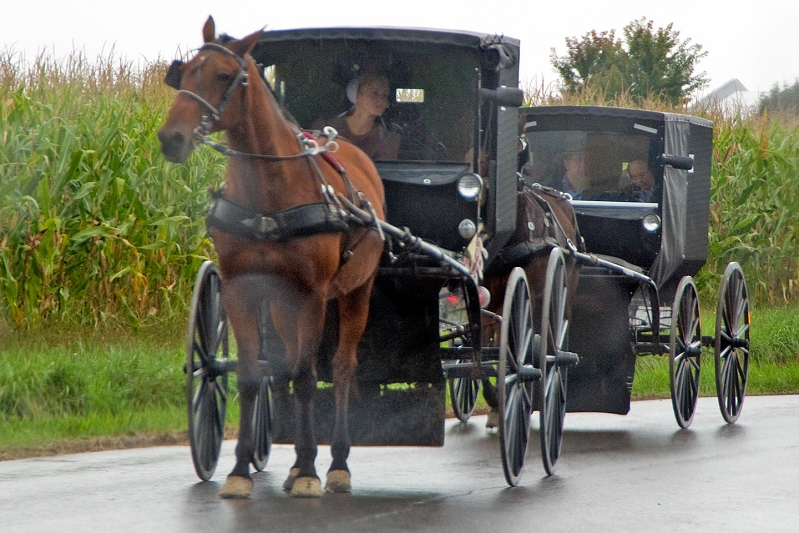 20110926-amish-008.jpg