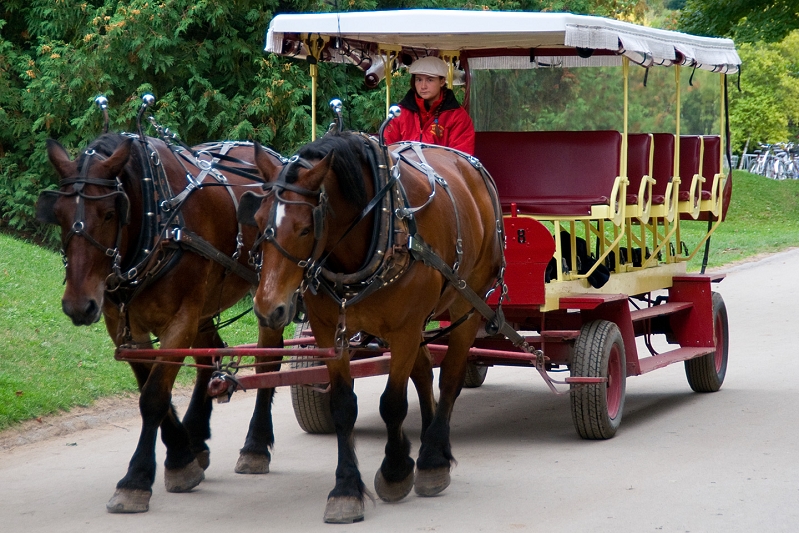 20110923-mackinac-island-015.jpg