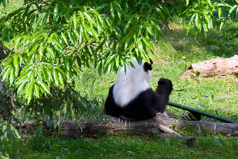 20110503-washington-dc-017.jpg