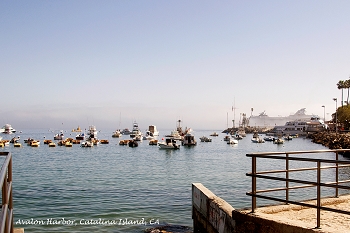 20130420-catalina_island-003