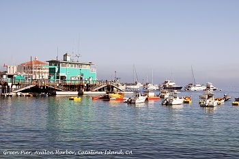 20130420-catalina_island-004