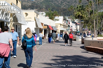 20130420-catalina_island-005