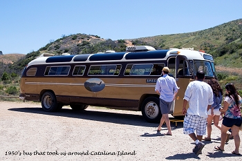 20130420-catalina_island-006