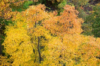 20131016-hudson_river_walkway-004